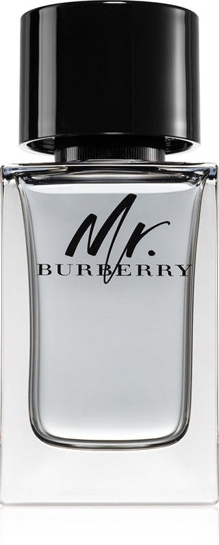Burberry מַר Burberry בושם לאד.טי. 100 מ"ל