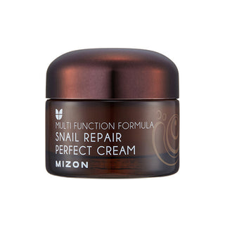 Mizon Cremă de față cu secretie de melc filtrată 60% pentru ten cu probleme (Snail Repair Perfect Cream) 50 ml