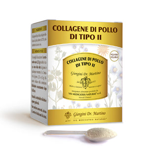 Dr Giorgini Collagene Di Pollo Di Tipo Ii Polvere Solubile 100 G