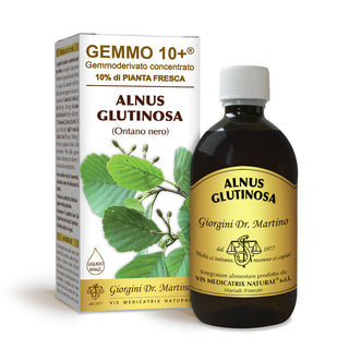 Dr Giorgini 젬모 10+ 블랙앨더 500ml 무알콜 액상