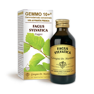 Dr Giorgini Gemmo 10+ bøg 100 ml alkoholfri væske