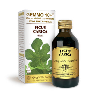 Dr Giorgini Gemmo 10+ fig 100 ml alkoholfri væske