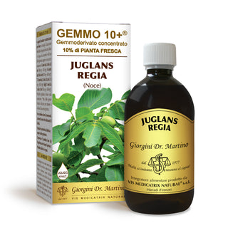 Dr Giorgini 젬모 10+ 월넛 500ml 무알콜 액상