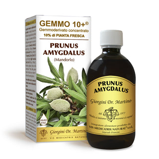 Dr Giorgini gemmo 10+ almond 500 ml non-alcoholic liquid