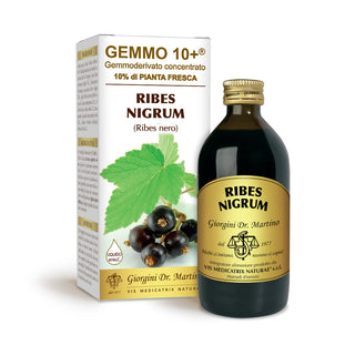 Dr Giorgini 젬모 10+ 블랙커런트 200ml 무알콜 액상