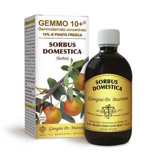 Dr Giorgini gemmo 10+ sorbo 500 ml non-alcoholic liquid