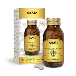 Dr Giorgini Same 90 G - Tablets Of 500 Mg 