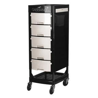 Gabbiano Assistente Parrucchiere Ft65 Nero / Bianco