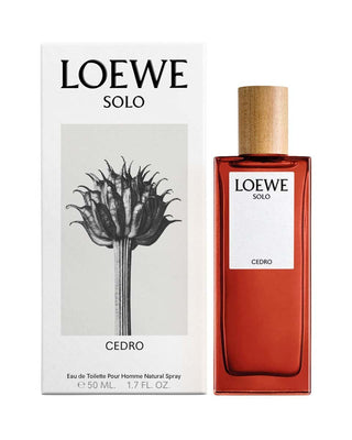 Loewe Solo Cedro Uomo 50 ml — Eau de Toilette