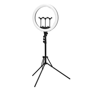 Anello Luminoso Anello Lampada 18" Bsc Con Treppiede 45W