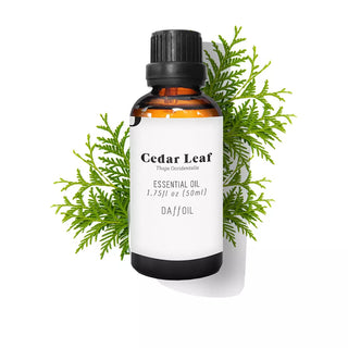 Daffoil Olio essenziale di foglie di narciso e cedro 100ml — Olio essenziale