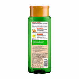 Naturvital Eco Purificante Zenzero Limone Shampoo 300 ml — Shampoo