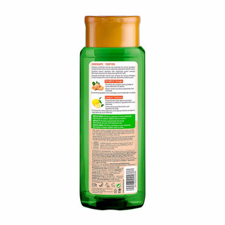 Naturvital Eco Purificante Zenzero Limone Shampoo 300 ml — Shampoo