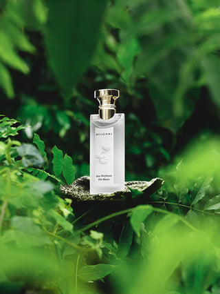 Bulgari Eau Parfumee The Blanc 150 ml