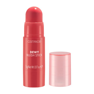 Catrice Dewy Blush In Stick 010 sheen on you