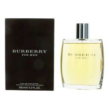 Burberry Burberry Herren EDT - 100 ml