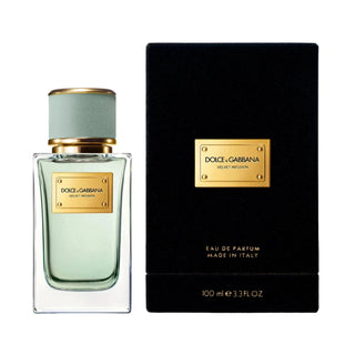 Dolce & Gabbana Velvet Infusion EDP 100ml