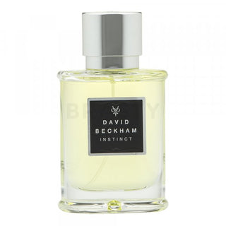 David Beckham Instinct EDT M 50 ml