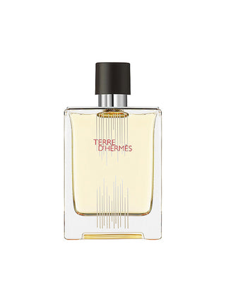 Hermes Terre d'Hermes Flacon H Eau de Toilette per uomo in edizione limitata 100 ml