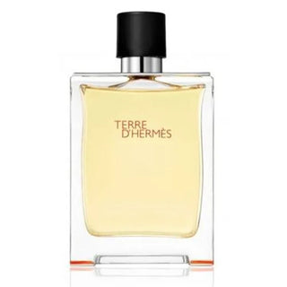 Hermès Terre d'Hermès 50 ml — Eau de Toilette Uomo