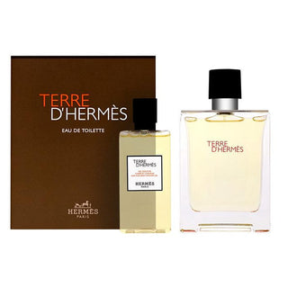 Hermès Set de apă de toaletă Terre D'Hermes spray 100ml 2 buc