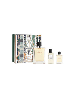 Hermès Hermes Terre Edt Spray Set 100 ml
