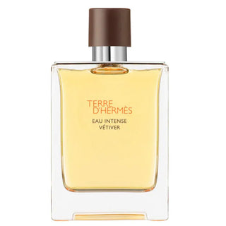 Terre d'Hermès Eau Intense Vetiver Spray 200ml