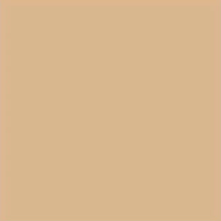 Sally Hansen Airbrush Legs Makeup Spray Waterproof Light Glow 75ml