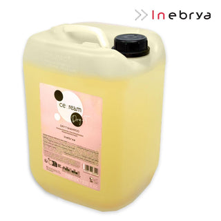 Shampoo Secco Inebrya 10 Litri