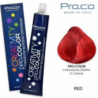 Creativity Pro.Color 100Ml Rosso
