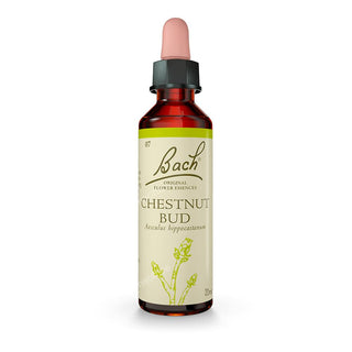 Bach 07 Chestnut Bud 20 ml — Fiore di Bach