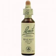 Bach 33 Noce Nogal 20ml
