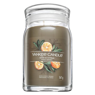 Yankee Candle Salbei & Zitrus 567 g 