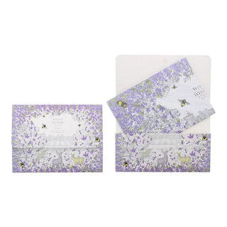 Woods of windsor Lavanda, portabicchieri in metallo, rivestimento per cassetti, 5 pz