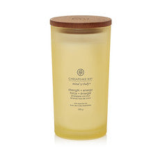 Chesapeake bay candle Strength & Candle Energy 355.0 g