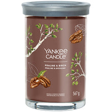 Yankee Candle Vela copo Praline & Birch Signature - 567,0 g