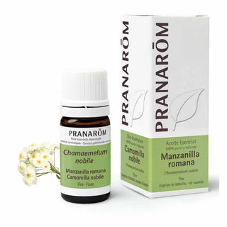 Pranarôm fiori di camomilla romana olio essenziale 5ml