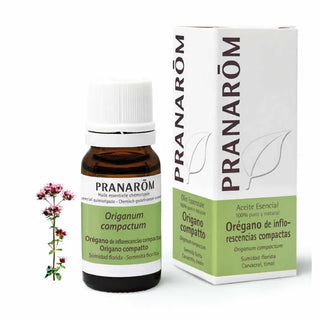 Pranarôm Oregano Compact Flowering Top olio essenziale 10ml