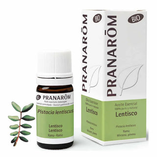 Pranarôm Organic Lentisk olio essenziale 5ml