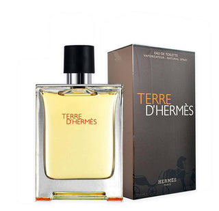 Hermes terre d'Hermes edt 100 ml
