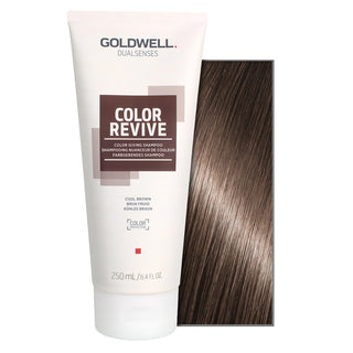 Goldwell Shampoo Ravvivante Cool Brown Dualsenses Color Revive 250 ml — Shampoo