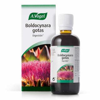 A. Vogel Boldocynara 100ml — Integratore liquido