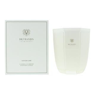 Dr. Vranjes Firenze Zenzero Lime, Candela Profumata, 1000 g