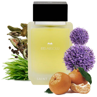 Saint hilarie Iris Absolu EDP 100ml