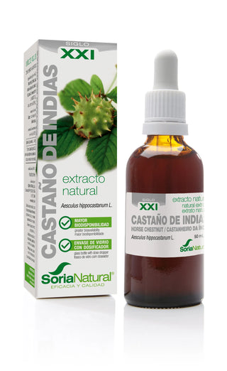 Estratto di ippocastano di Soria 21° secolo