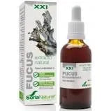 Estratto di Soria Fucus S Xxi 50ml