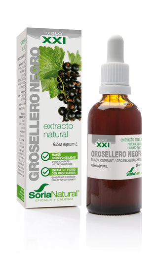 Estratto di ribes nero Soria S XXI 50ml