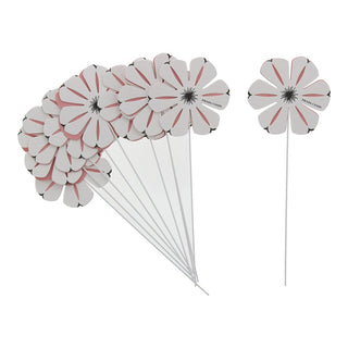 Prada Set , Candy Florale, Assorbenti, 10 pz