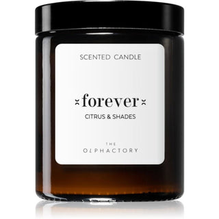 The Olphactory Forever Citrus & Shades, Agrumi, Candela Profumata, 135 g