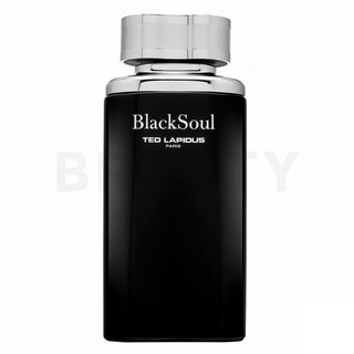 Ted Lapidus Black Soul EDT M 100 ml